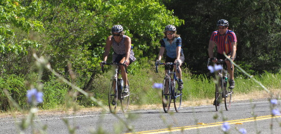 Santa Barbara bike tour
