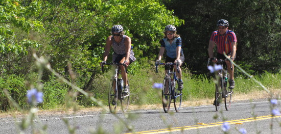 Santa Barbara bike tour