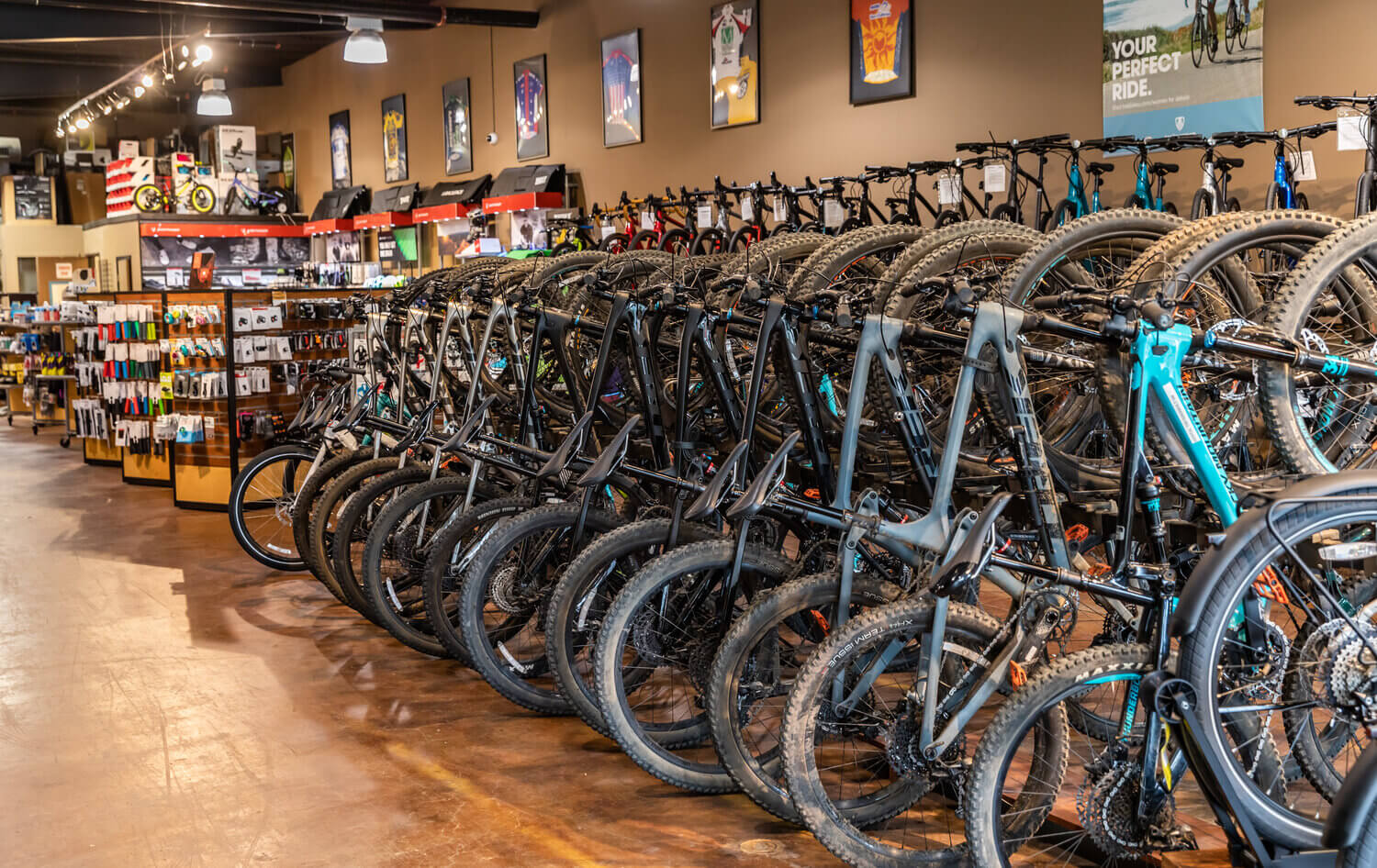 Bike rentals Los Osos