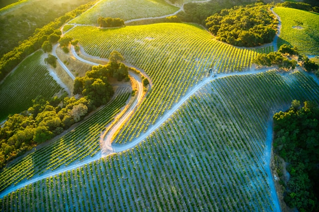 paso robles bike tour