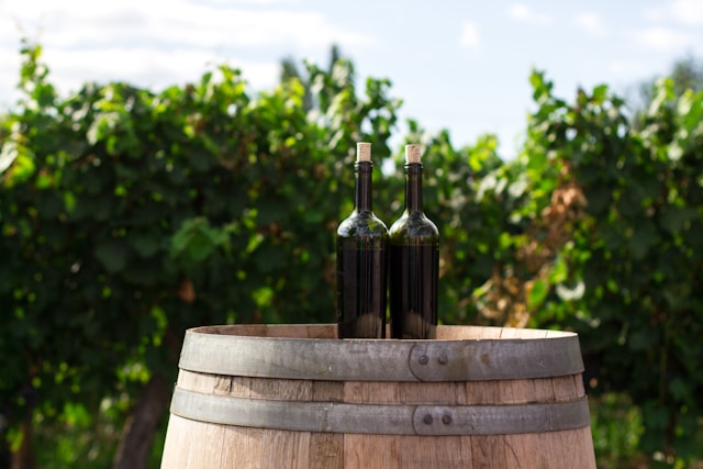 paso robles wine tasting tours