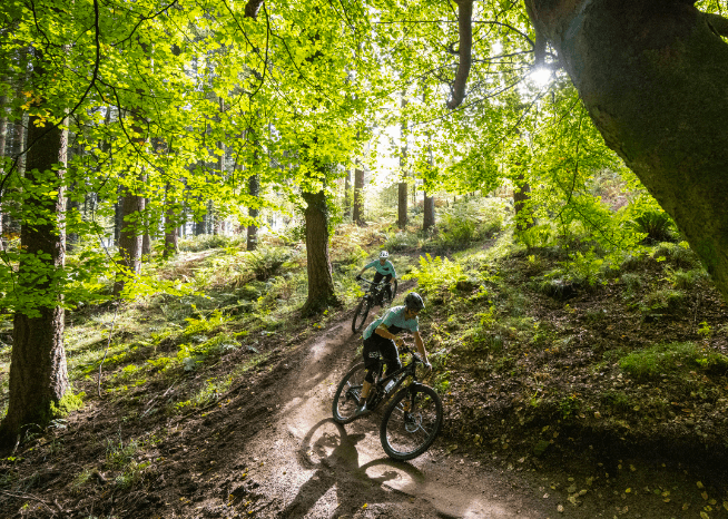 Two cyclists riding bikes on Cape May bike trail, surrounded by trees and nature.