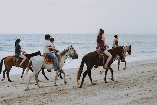 Horseback Riding in the Sierra Nevada