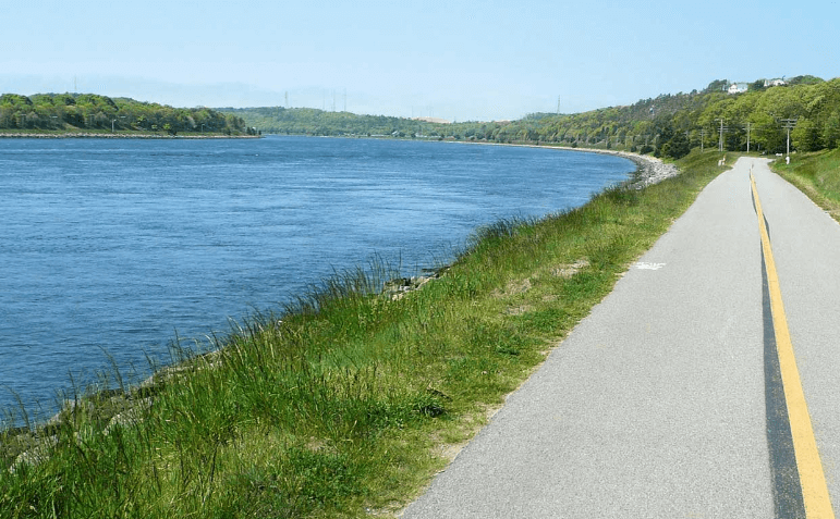 Scenic bike path by water with lush greenery, ideal for Michigan biking tours