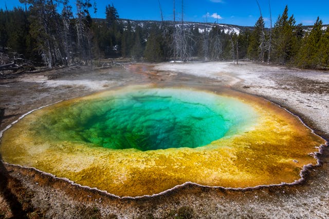 A powerful eruption of water and steam from a geothermal vent in Yellowstone National Park
