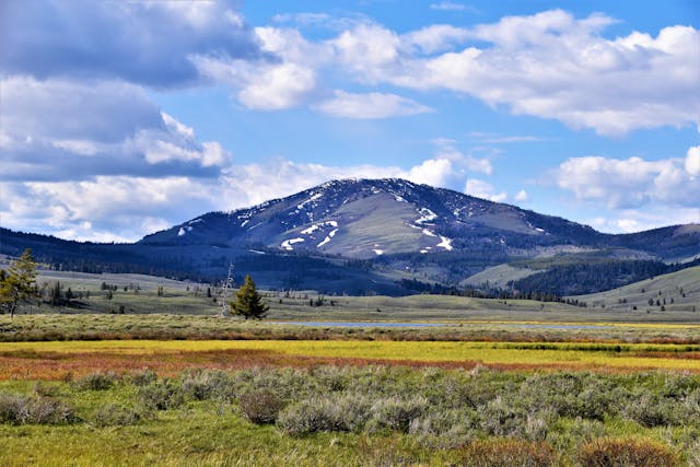 road trip to yellowstone from california